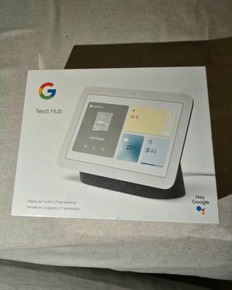 Google Nest Hub seconda generazione 