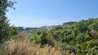 TER. AGRICOLO A LOANO