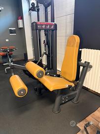 Seated Leg Curl Panatta (linea SEC)