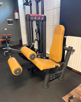 Seated Leg Curl Panatta (linea SEC)