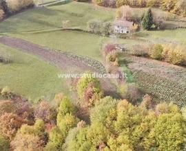 SOVRASTANTE ISERA: AMPIO TERRENO AGRICOLO BIO