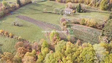 SOVRASTANTE ISERA: AMPIO TERRENO AGRICOLO BIO