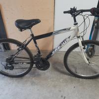 bici MTB da ragazzi 13 anni