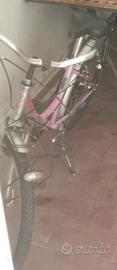 bicicletta  zecchini  24 donna ragazza bici