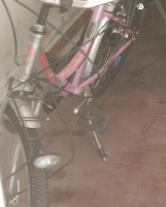 bicicletta  zecchini  24 donna ragazza bici