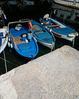 Barca legno