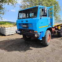 Camion ex forestale, targato e ribaltabile