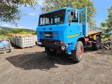 Camion ex forestale, targato e ribaltabile