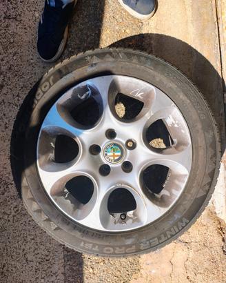 2 ruote complete 16" Tourador Winter 205/55 R16