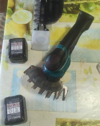 tagliabordi per aiuole