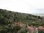 Immagine 9