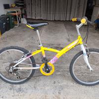 Mountain bike ragazza ruote 20 pollici
