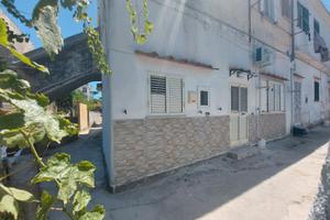 DA SETTEMBRE Ischia porto, San Ciro