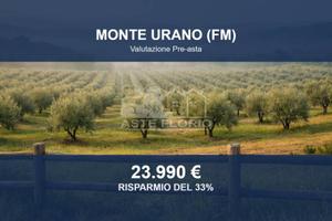 Immobile in asta di 23890 m² a Monte Urano
