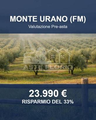 Immobile in asta di 23890 m² a Monte Urano