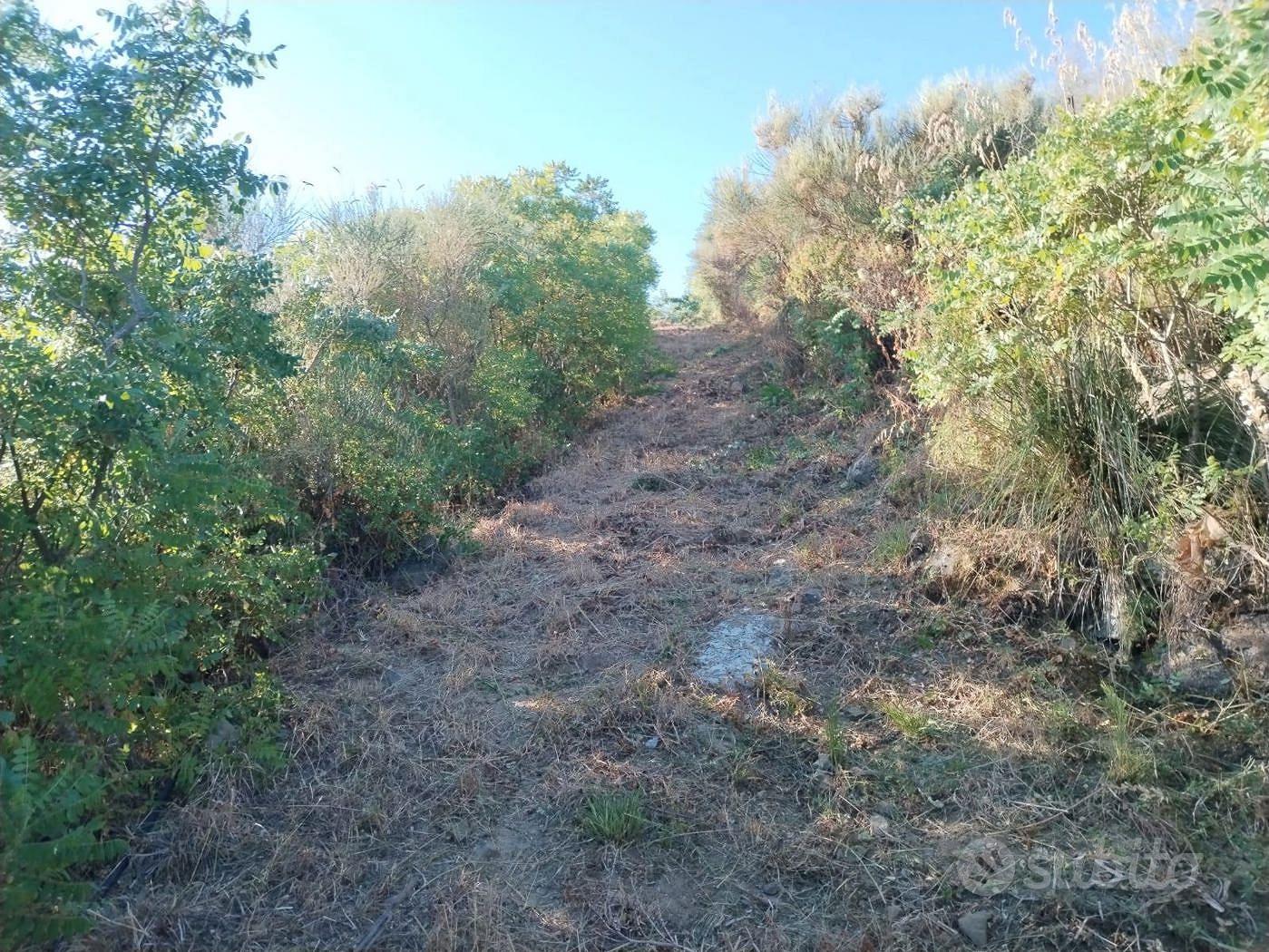 Rustico/Casale/Corte Cefalù [BAI201 - 07/2026VRG] - Vista 2