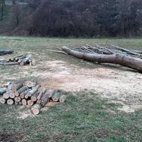 Legna da ardere misto bosco spaccata