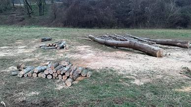 Legna da ardere misto bosco spaccata