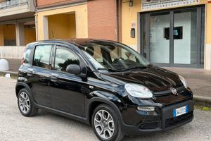 FIAT PANDINA PANDA / PREZZO REALE /GARANZIA / NUOV