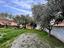 Immagine 19
