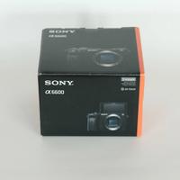 Mirrorless Sony a6600