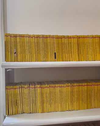 Libri gialli, enciclopedie, romanzi, riviste