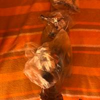 Turbina Ford Fiesta ST mk8