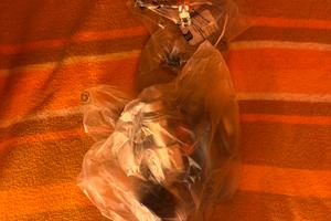 Turbina Ford Fiesta ST mk8