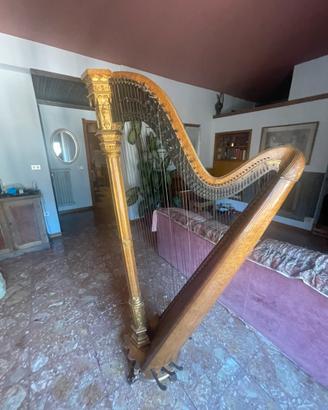 Arpa Ornamentale Raffael Milano N.1085