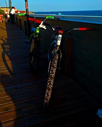 bici whellie bike