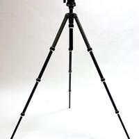 Gitzo Tatalux + Testa a sfera Manfrotto 352 RC