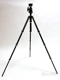 Gitzo Tatalux + Testa a sfera Manfrotto 352 RC