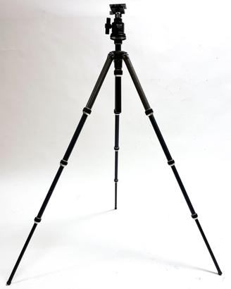 Gitzo Tatalux + Testa a sfera Manfrotto 352 RC