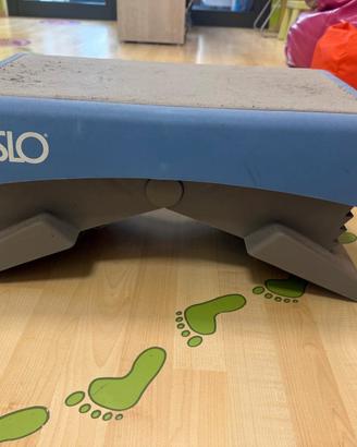 Per cessata attività 12 step della weslo 