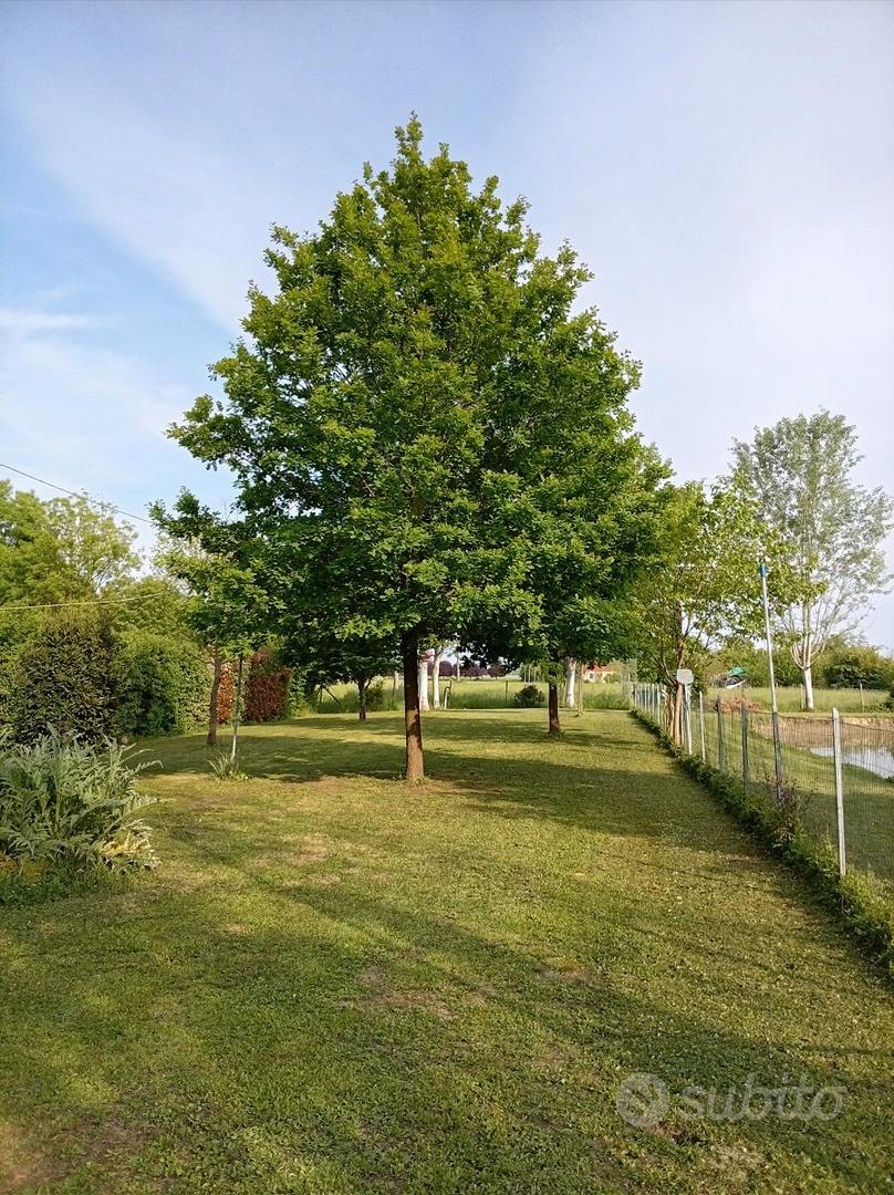 Terreno agricolo - Vista 4