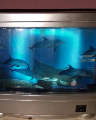 Lampada Acquario