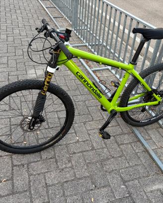 Cannondale taurine