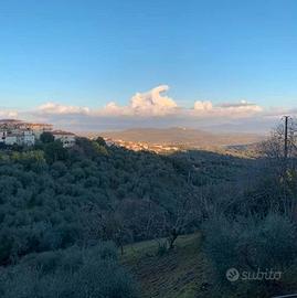 Villetta a Schiera di Testata