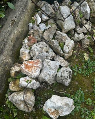 Sassi da giardino