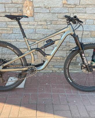 Cannondale Jekyll Tg.L