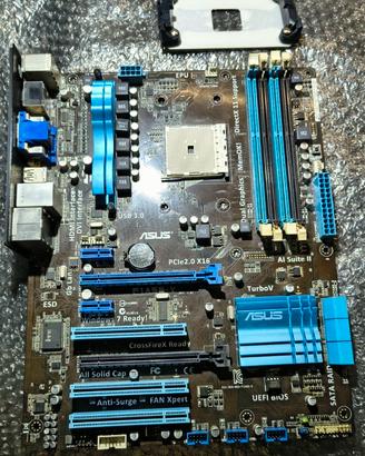 Scheda madre ATX Asus FM1 F1A55-V