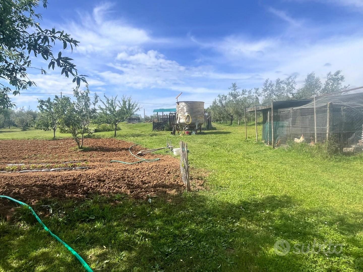 Terreno agric. a Cecina - Altro