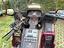 Immagine 1