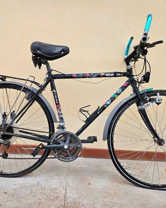 bicicletta