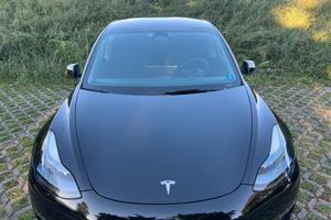 Tesla model 3 performance