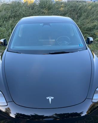Tesla model 3 performance