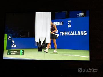 Sony Bravia 49 pollici 4K con schermo rotto