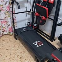 tapiroulant palestra