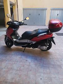 Permuto xmax 250