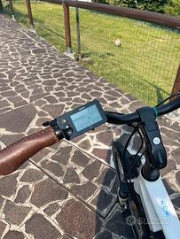 Bici elettica